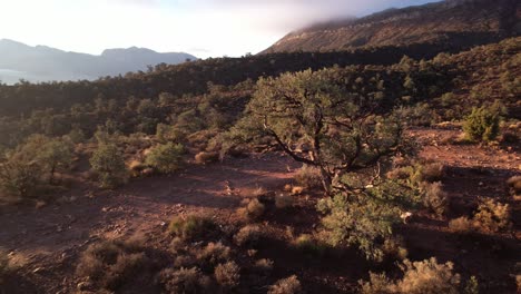 Lovell-Canyon-Rote-Felsformation-Kalifornien-Szenische-Luftlandschaft-Natürliche-Unverschmutzte-Schönheit-Von-Mutter-Erde