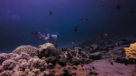 Hombre-Nadando-En-Los-Arrecifes-De-Coral-Rodeado-De-Peces-Exóticos-Para-Encontrar-Un-Naufragio-En-El-Fondo-Del-Océano