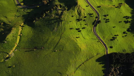 Aerial-top-down-4K-epic-view-of-a-narrow-lonely-road-between-green-hills-at-sunset