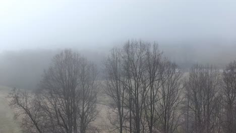 aerial-winter-and-fog-over-treetops-in-field-in-yadkin-county-nc,-north-carolina