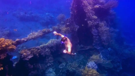 Un-Hombre-Se-Sumerge-En-Impresionantes-Y-Coloridos-Arrecifes-De-Coral-En-Un-Naufragio-En-El-Océano-Azul