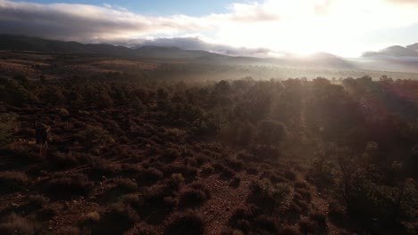 Luftbild-Mystischer-Morgen-In-Sierra-Nevada-Kalifornien-Vereinigte-Staaten-Von-Amerika-Malerische-Landschaft-Lovell-Canyon-Rote-Felsformation