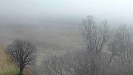 aerial-fog-hangs-over-winter-field-in-yadkin-county-nc,-north-carolina