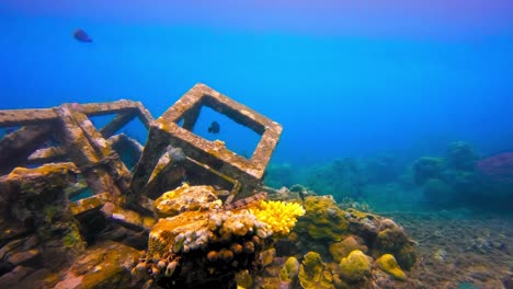 Kisten-Auf-Dem-Grund-Des-Ozeans-Mit-Korallenriffen,-Die-Es-Langsam-Absorbieren