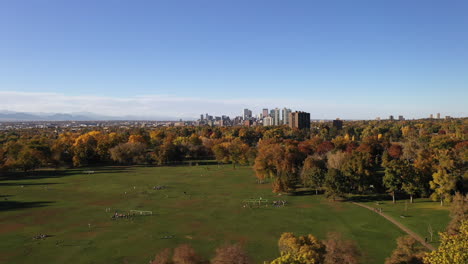 Aerial-Panoramic-View-of-City-Park-Denver-in-Fall-Autumn-Season,-People-on-Urban-Green-Lawn-Playground-With-Trees-and-Lake,-Cityscape-in-Horizon