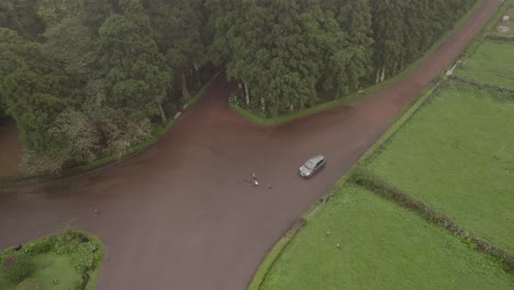 Ducks-cross-road-in-front-of-car---Parque-Florestal-das-Sete-Fontes,-foggy-drone
