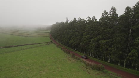 Car-drives-on-dirt-road-next-to-tall-lane-of-trees-and-farm-pastures-in-countryside-on-foggy-morning