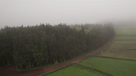 Car-on-dirt-road-between-green-pastures-and-misty-forest-trees-of-nature-reserve