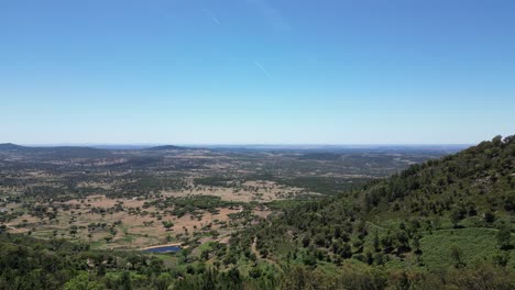 Aerial-view-of-Castelo-de-vide-Forested-landscape,-Portuguese-destination