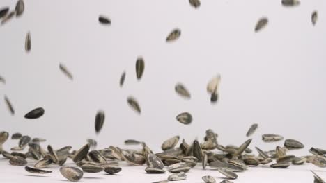 Whole-salted-sunflower-seeds-raining-town-on-table-and-bouncing-in-slow-motion-on-white-backdrop
