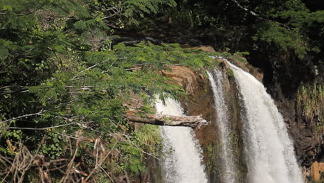 Cascada-Fluye-Hacia-Abajo-En-El-Bosque-Rodeado-De-Arbustos-Verdes