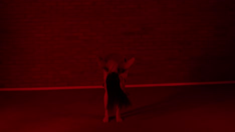Bailarina-Profesional-Bailando-En-La-Habitación-Roja