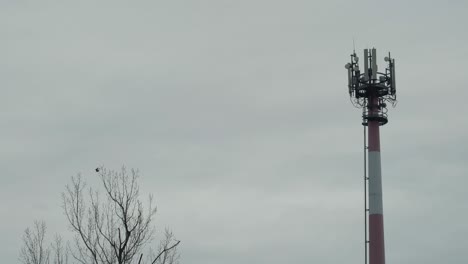 Cell-Phone-Communication-Tower