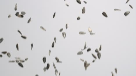Whole-salted-roasted-sunflower-seeds-raining-down-on-white-backdrop-in-slow-motion