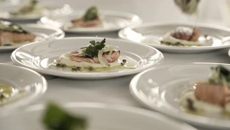 Master-chef-preparing-delicious-salmon-meal-in-white-plates,-close-up-view
