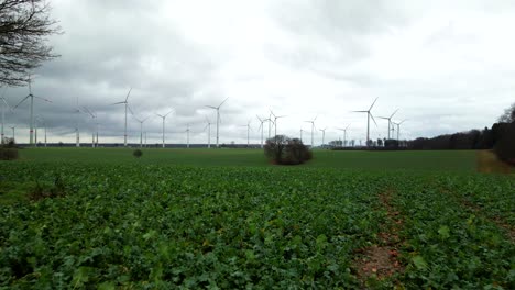 Low-Flight-Over-Kale-Field-Leading-to-Wind-Turbines-Generating-Sustainable-Energy-in-Paderborn,-Germany