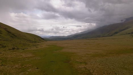 Expansive-tussock-plains-in-a-wide-alpine-valley-underneath-heavy-dramatic-clouds