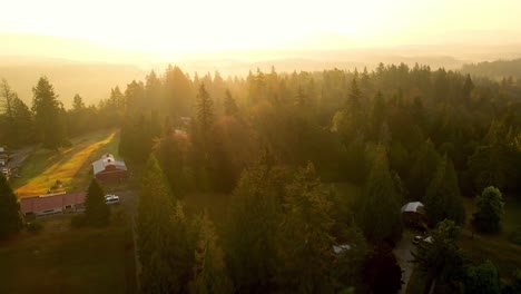 Epischer-Sonnenaufgang-In-Einem-Wald-Im-Bundesstaat-Washington,-Renton