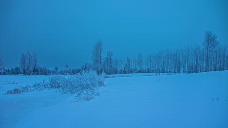 Rural-winter-setting.-Forest,-Deep-snow