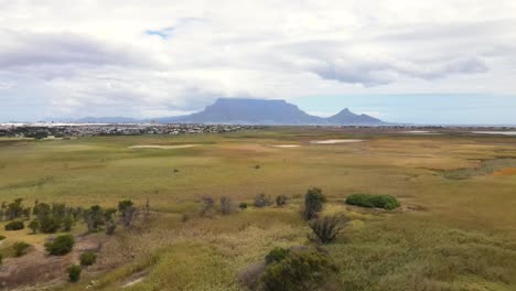 Low-flight-over-Rietvlei-Nature-Reserve-in-Blouberg
