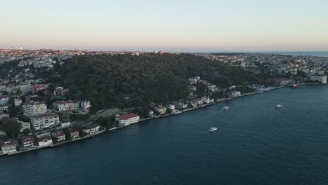 Houses-and-trees-overlooking-the-sea-of-Istanbul-from-the-air