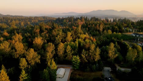 Episches-Filmisches-Waldluftvideo-Aus-Renton-Washington,-Aufgenommen-Um-5-Uhr-Morgens-Mit-Wohnhäusern-Zwischen-Grünen-Bäumen