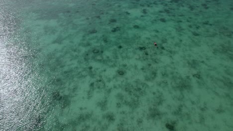 4k-Aerial-Drone-Footage-Overhead-of-Coral-and-Snorkeler-at-Salad-Beach-on-Koh-Phangan-in-Thailand-with-Fishing-Boats,-Teal-Water,-Coral,-and-Green-Jungles