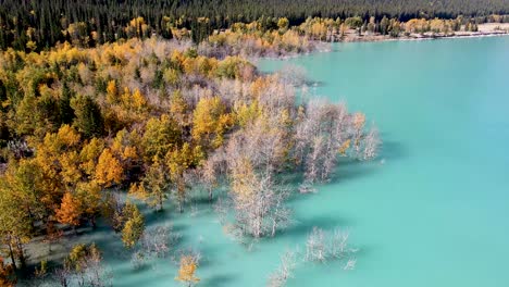 Erstaunliche-Herbstbäume-Im-Blauen-Wasser-In-Kanada