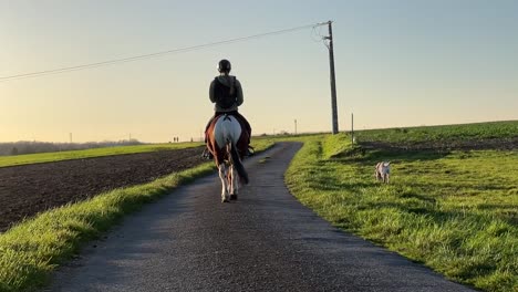 Girl-riding-her-pony-in-the-countryside-road-with-her-dog
