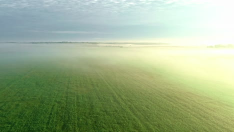 Bright-sunshine-and-mist-over-agriculture-field,-aerial-drone-view