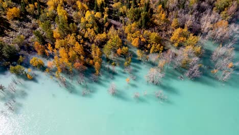Drone-Deslizándose-Sobre-El-Lago-En-Otoño