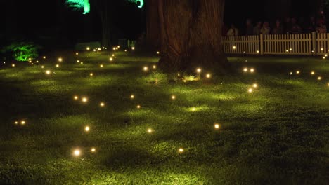 Twinkling-Lights-Dancing-Over-Green-Meadow-In-Pukekura-Park-During-Festival-of-Lights-In-New-Plymouth,-New-Zealand