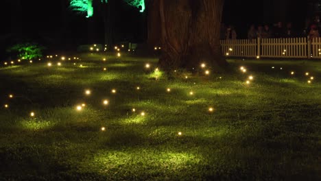 Glowing-Lights-At-Pukekura-Park-During-The-Annual-Festival-Of-Lights-In-New-Plymouth,-New-Zealand