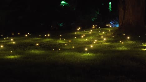 Fireflies-during-the-Festival-of-Lights-in-New-Plymouth,-New-Zealand