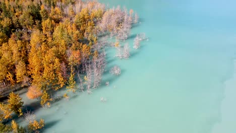 Drohne-Fliegt-Rückwärts-über-Bäume-Und-See-In-Alberta