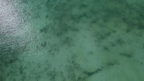 4k-Aerial-Drone-Overhead-Shot-of-Gulf-of-thailand-on-Koh-Phangan-in-Thailand-with-Fishing-Boats,-Teal-Water,-Coral,-and-Green-Jungles