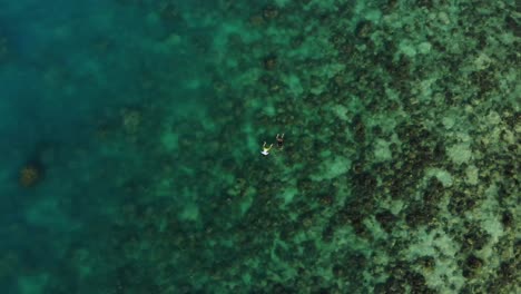 Zoom-in-on-a-couple-snorkeling-near-Crystal-Bay-Beach-in-Koh-Samui,-Thailand,-with-a-Drone