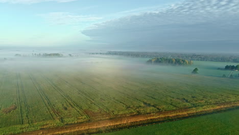 Low-lying-fog-on-farmland-fields---ascending-aerial-view