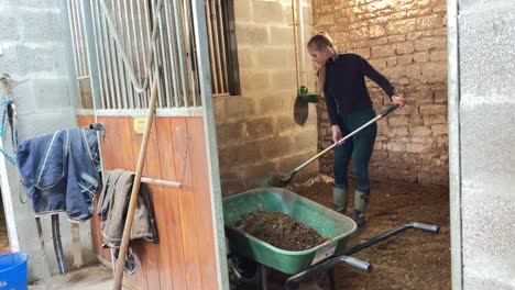 Girl-working-in-the-stables-loading-a-wheelbarrow-with-horse-feces-and-soil