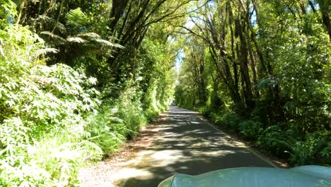Conducción-De-Automóviles-En-La-Carretera-Que-Va-Hacia-Dawson-Falls-En-Taranaki,-Nueva-Zelanda