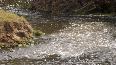 Das-Braune-Wasser-Eines-Fließenden-Flusses-Fließt-Durch-Die-Natur