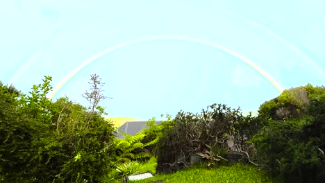 Schöner-Regenbogen-Am-Himmel-Mit-Grüner-Vegetation-Im-Vordergrund-Im-Sommer-In-Taranaki,-Neuseeland
