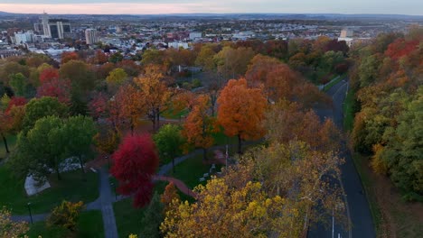 Slow-cinematic-aerial-orbit-of-colorful-trees-in-city-park