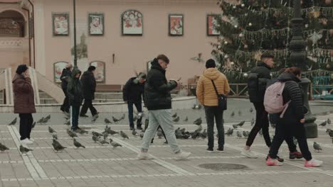 Leute-Und-Tauben-Auf-Dem-Ratplatz-In-Brasov,-Rumänien-Während-Der-Weihnachtszeit