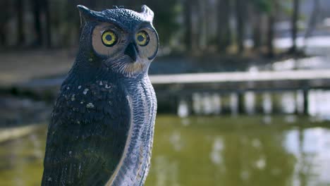 A-plastic-owl-keeping-watch-over-a-lake-on-a-deck