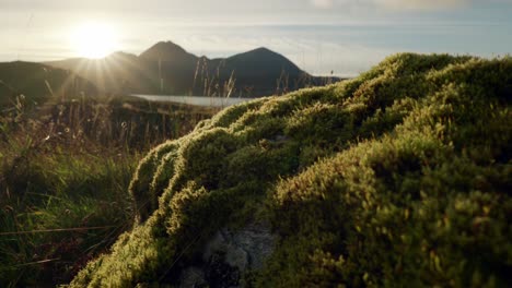 The-sun-sets-behind-mountains-and-the-sea-in-the-background-as-golden-light-highlights-a-mossy-rock-in-the-foreground
