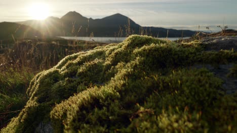 The-camera-twists-to-reveal-the-sun-setting-behind-mountains-and-the-sea-in-the-background-as-golden-light-highlights-a-mossy-rock-in-the-foreground