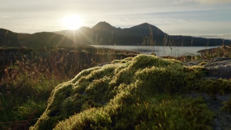 The-sun-creats-a-sunburst-as-it-sets-behind-mountains-with-the-sea-in-the-background-as-golden-light-highlights-a-mossy-rock-in-the-foreground