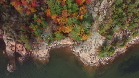 Overhead-View-Of-Colored-Foliage-In-Autumnal-Forest-At-The-Rocky-Shoreline