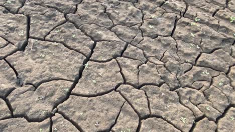 Close-up-of-dry-cracked-soil-dirt-during-drought,-dry-earth,-desertification